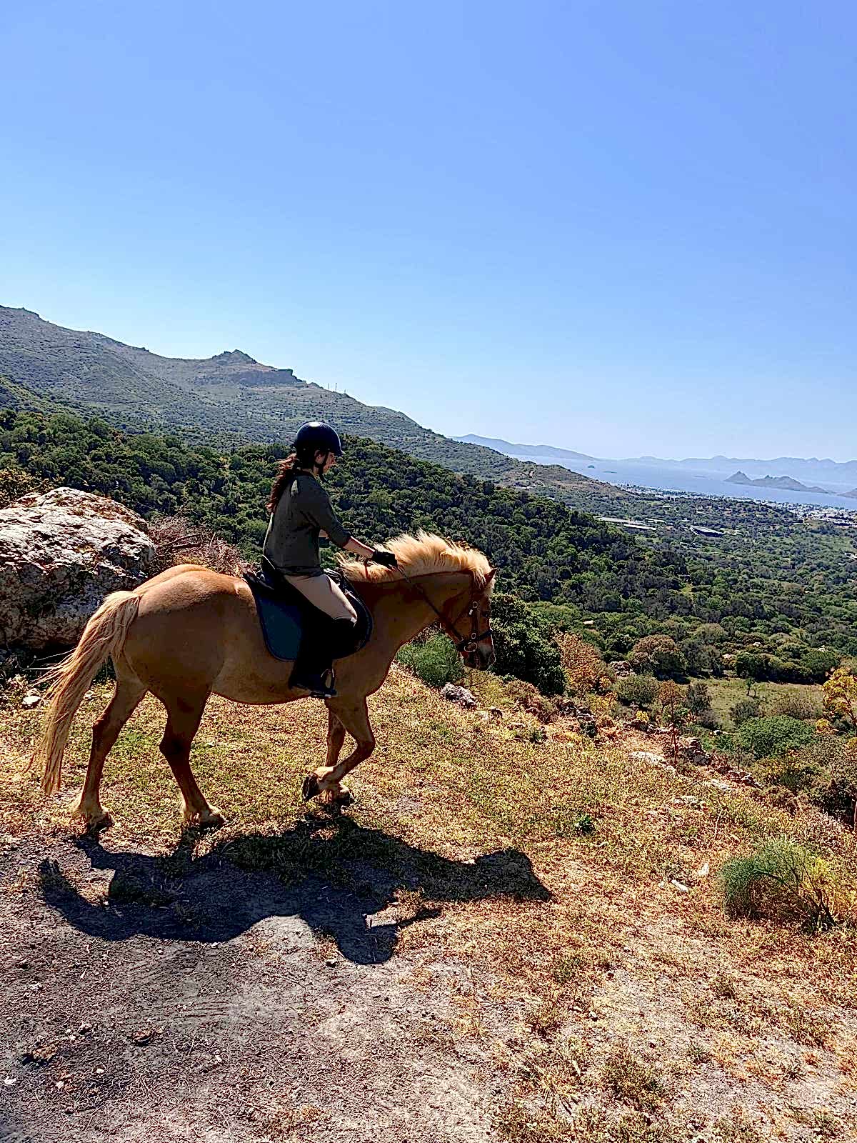 Bodrum Atlı Spor Klubü